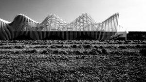 AV Station Reggio Emilia - Calatrava's whale